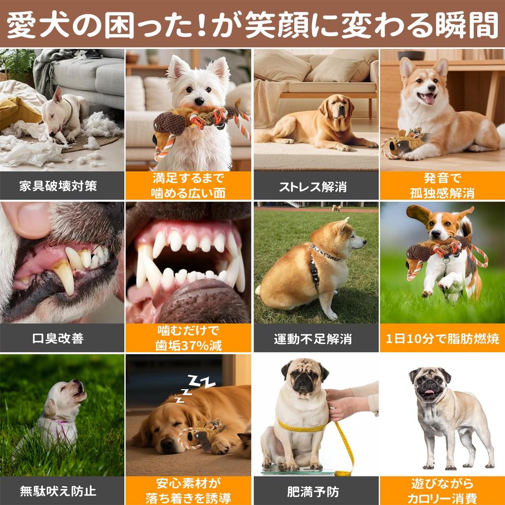 BELIVIUM Plush Dog Toy Suitable for All Breeds Includes and Rustling Sounds Antibacterial and Treatment Reinforcement for Extra Durability Relieves