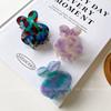 And Sweet Colorful Mini Rabbit Hair Claw Clips Made With Acetate Great For Womens Everyday Hair Looks