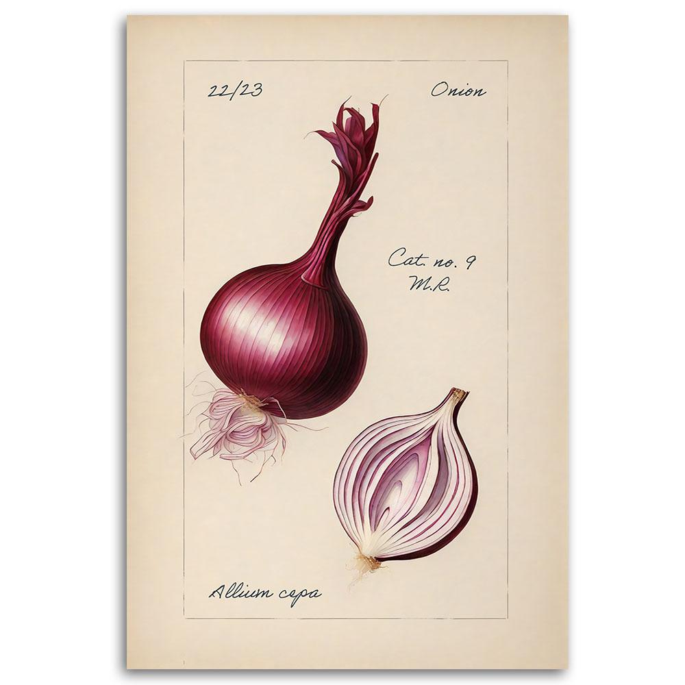 Leinwanddruck, Vintage Gemüse Zwiebeln