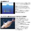 Daiwa Metal Jig TG Bait 25g PH Sardine Lure