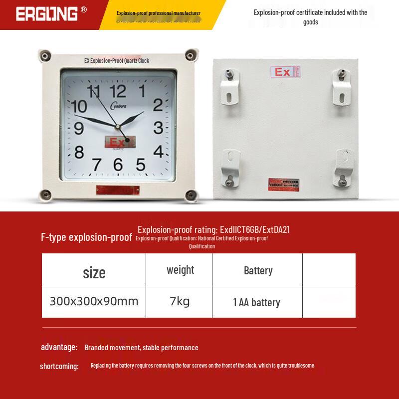 EGFB Explosion-Proof Wall Quartz Clock 300mm