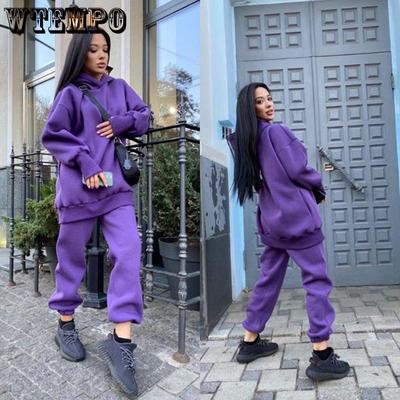 Women Hooded Sweatshirt Set Autumn Solid Casual Long Sleeve Warm Pullovers Tracksuit Female Winter Fashion Two Piece Sets