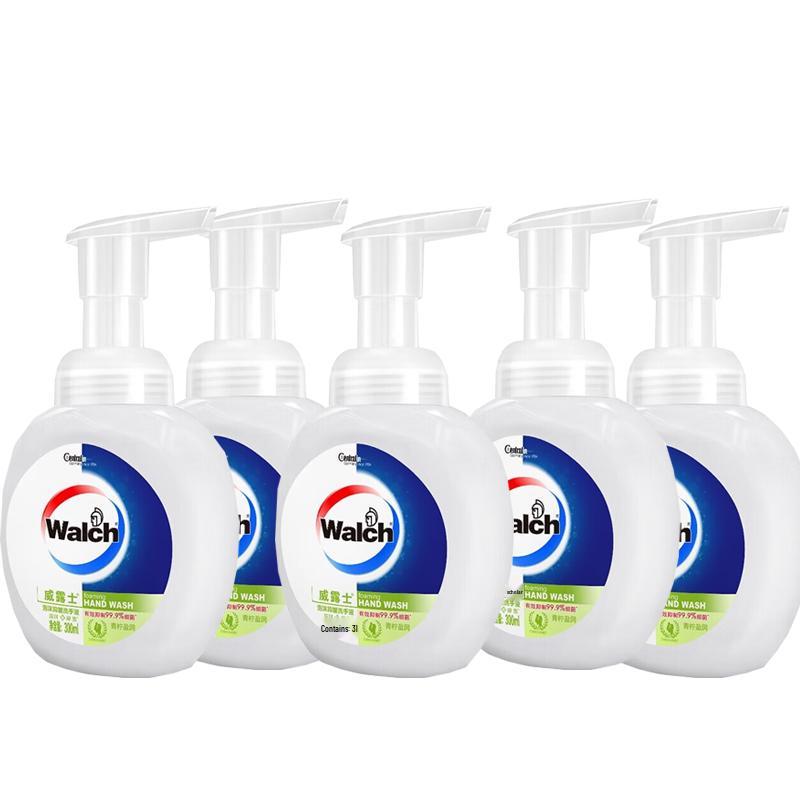 Walch Foaming Antibacterial Hand Soap