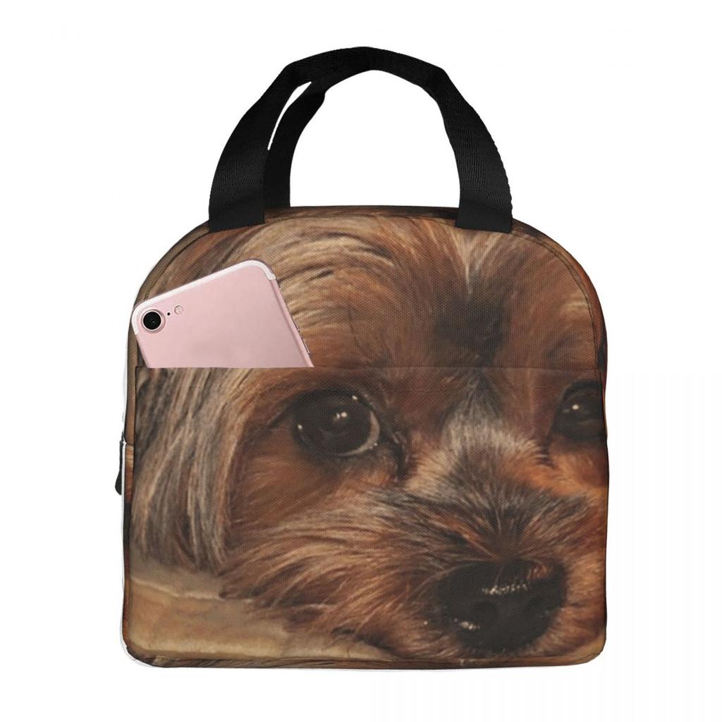 Cute Yorkshire Terrier Yorkie Puppy Dog Insulated Lunch Bag for Women Kids Portable Food Boxes Thermal Lunch Box Tote