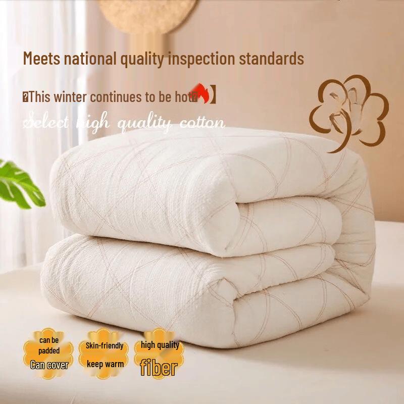 Yongrong Thickened Winter Dormitory Quilt