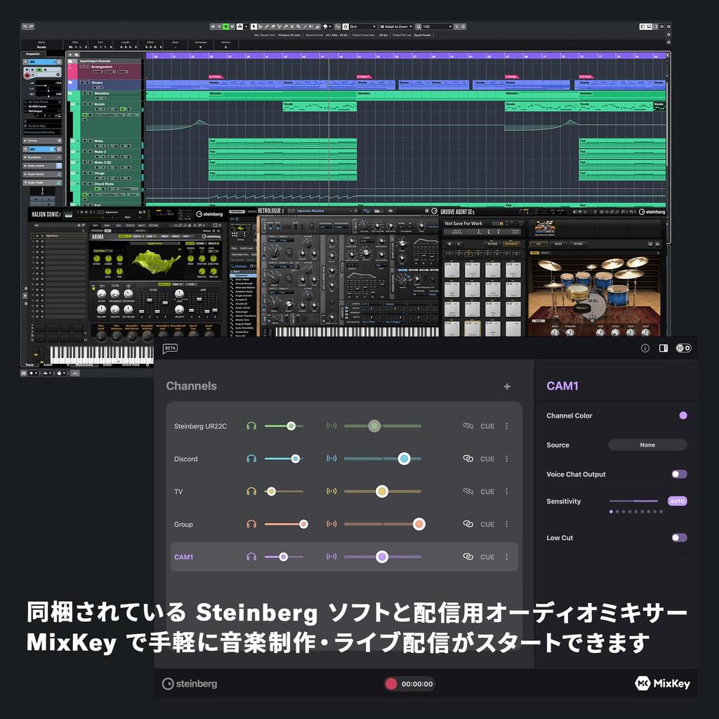 Yamaha UR12MK3 B USB Audio Loopback for Music and Black 2.0 Interface, 24-bit/192kHz, 2-in/2-out, Function, Production, Recording, Streaming,