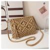Handmade Cotton Rope Fringed Woven Bag New Shoulder Oblique Span Straw Woven Bag Casual Women's Bag Vacation Beach Bag