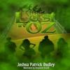 Lost In Oz by Joshua Dudley Paperback Book 9781430312789