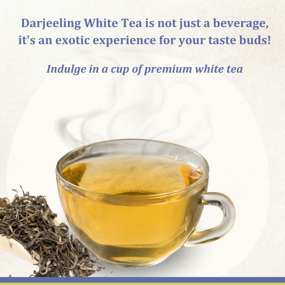 Darjeeling White Tea - Silver Needles Tea | The Purest Indulgence (Grade- SFTGFOP1) | 30 gms Loose Tea Long Leaves | Rich In Antioxidants