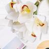 6 Stems Faux Orchid Decor 3D Printed Silk Orchid Decorations  For Parties