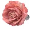 Modern Simple Flower Curtain Tiebacks – Window Decoration Accessories