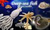 Deep Sea Creatures Series Giant Squid Plush Toy White 7430
