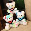 Doctor Hat Bear Doll Plush Toy Graduation Doctor Bear Bachelor Bear Doll Graduation Season Commemorative Gift
