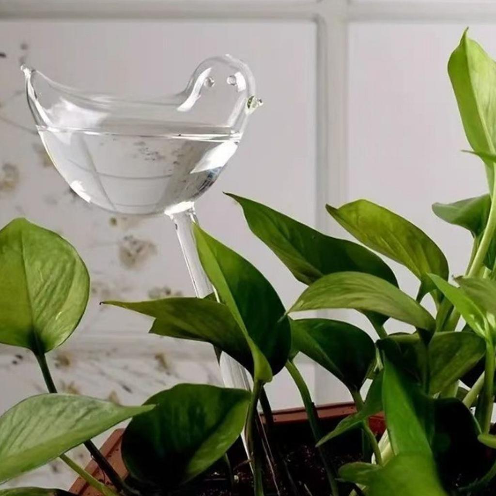 PVC Plastic Bird Plant Watering Globe Dispenser for Indoor Plant Flower Outdoor Houseplant Watering Bulb Dripper