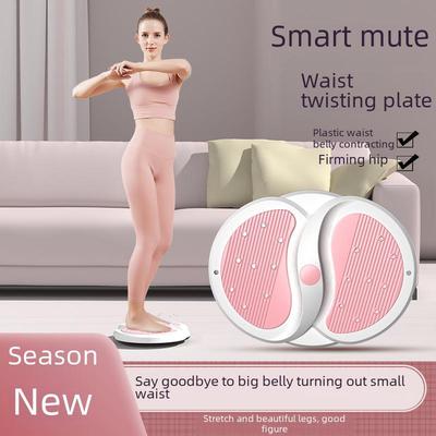 Silent Magnetic Waist Twister for Home Fitness and Exercise