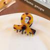 Wind-Acetic Acid Small Hair Clips, Female Forehead Bang Clips, Half-Tie Hair Claw Clips, Elegant Hair Clips, Headwear