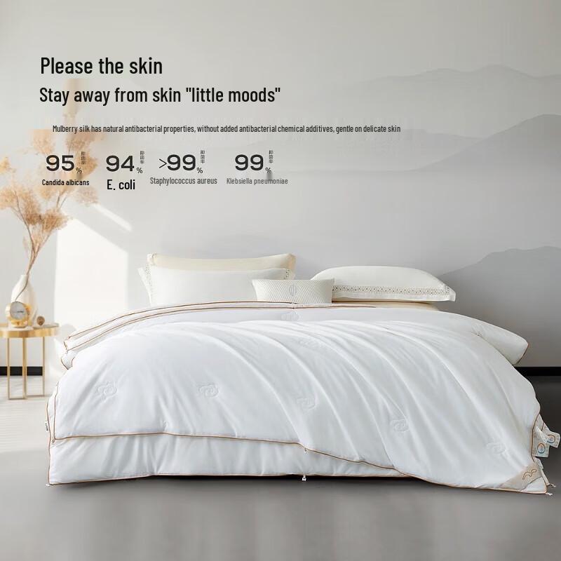 Mercury Home Textiles Detachable 100% Mulberry Silk All-Season Quilt