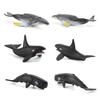 Realistic Marine Animal Models With Static Display For Aquarium Decoration And Educational Purposes