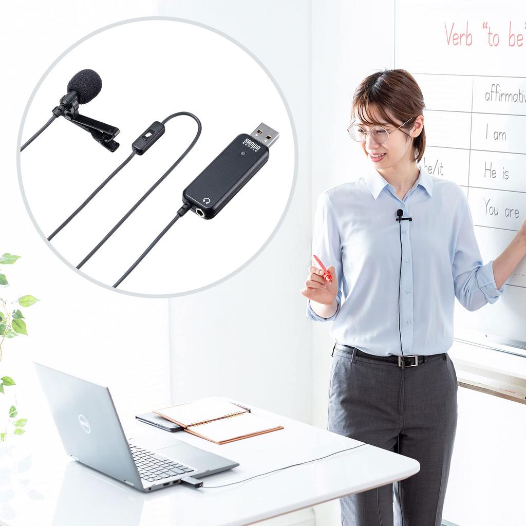 Sanwa Supply USB Pin Microphone High-Performance MM-MCU12BK