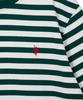 USPOLOASSN Cotton Round T-Shirt_Green Stripe
