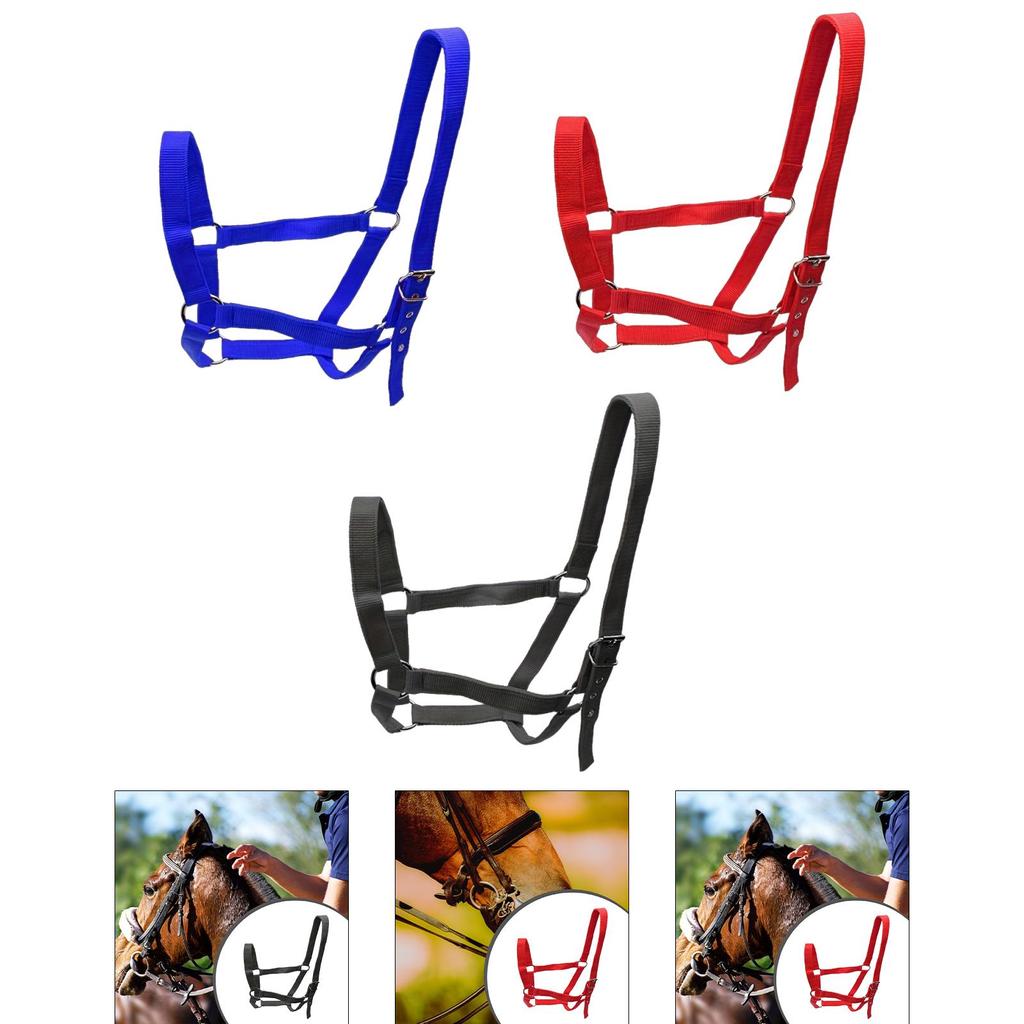 Horse Halter,Chin and Throat Snap Halter,Easy to wear,wear Resistant Horse Rope Training Halter for Contest