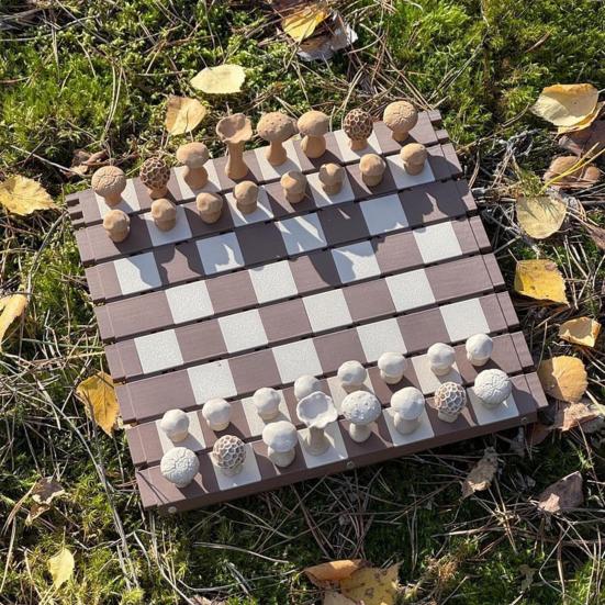 1 juego de ajedrez magnético con setas del bosque y tablero enrollable para niños y adultos, portátil, educativo, de viaje.