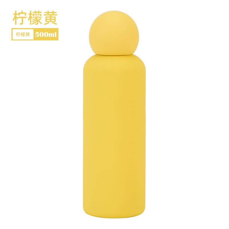 500ml 316 Stainless Steel Vacuum Insulated Kids Water Bottle Cute Design Portable Sport Cup Children Teens
