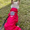 BARKDOG ABC Raincoat M-6XL 2colors