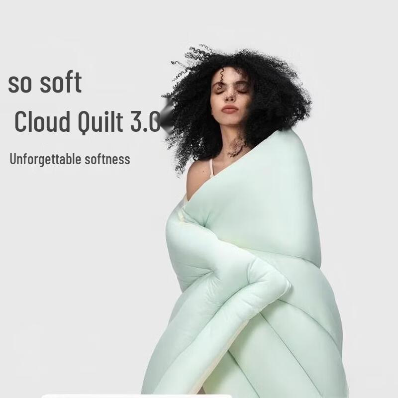 Aimmy Home Cloud Warm All-Season Quilt 3.0