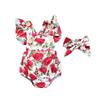 Fashion Sweet Newborn Baby Girl Romper Bodysuit Jumpsuit Clothes Outfits 2PCS Set 0-24M