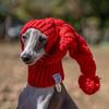 Warme Wollmütze für Whippets und Italienische Windhunde - Niedliche Hundemütze