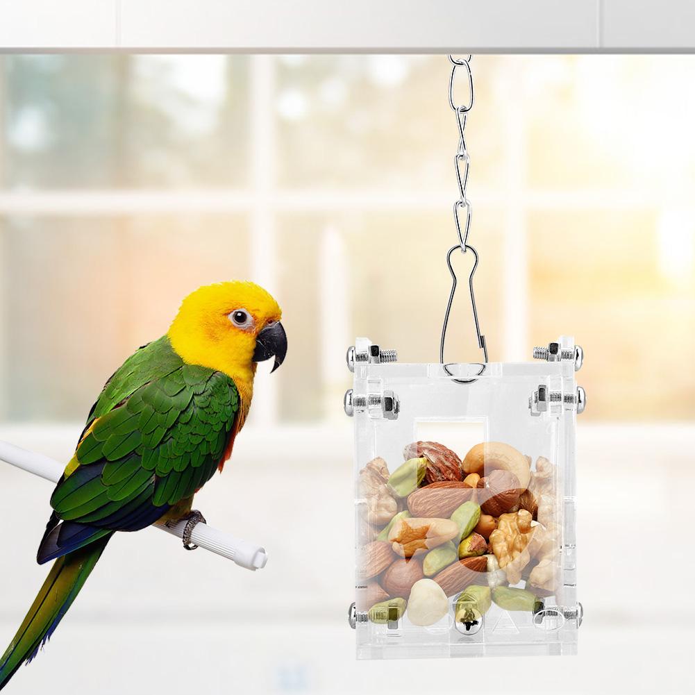 parakeet foraging toys