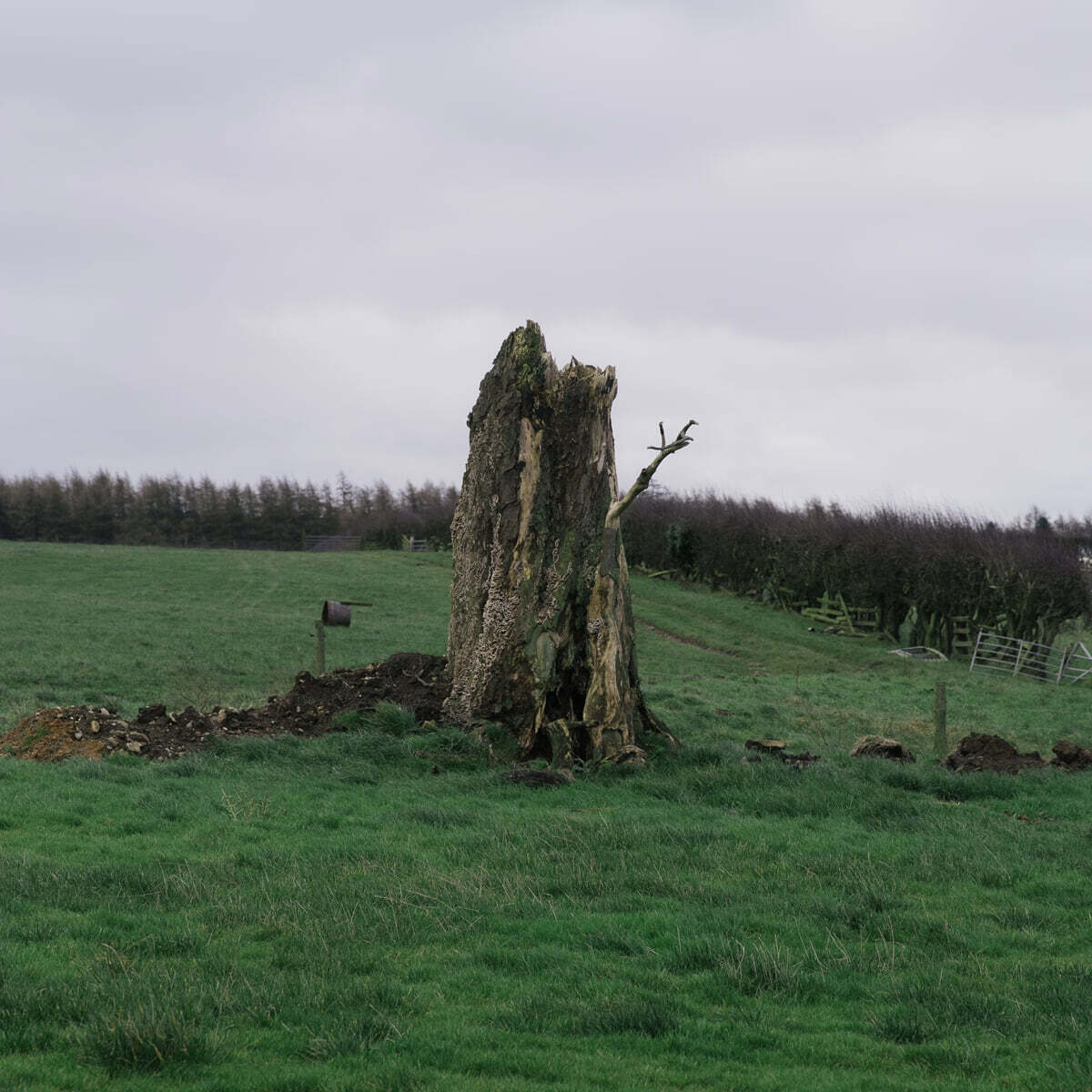 After Thoughts - Vermin of Mind