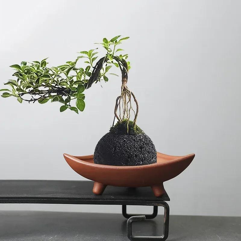 Ceramic Flower Pots for Bamboo Indoor Micro Landscape Plants Purple Clay Pot Decoration