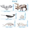 TOYMANY 12-Piece Arctic Animal Figure Set, Realistic Arctic Animal Models, Popular Animal Toys, Birthday Gifts, Decorations, Christmas, New Year's