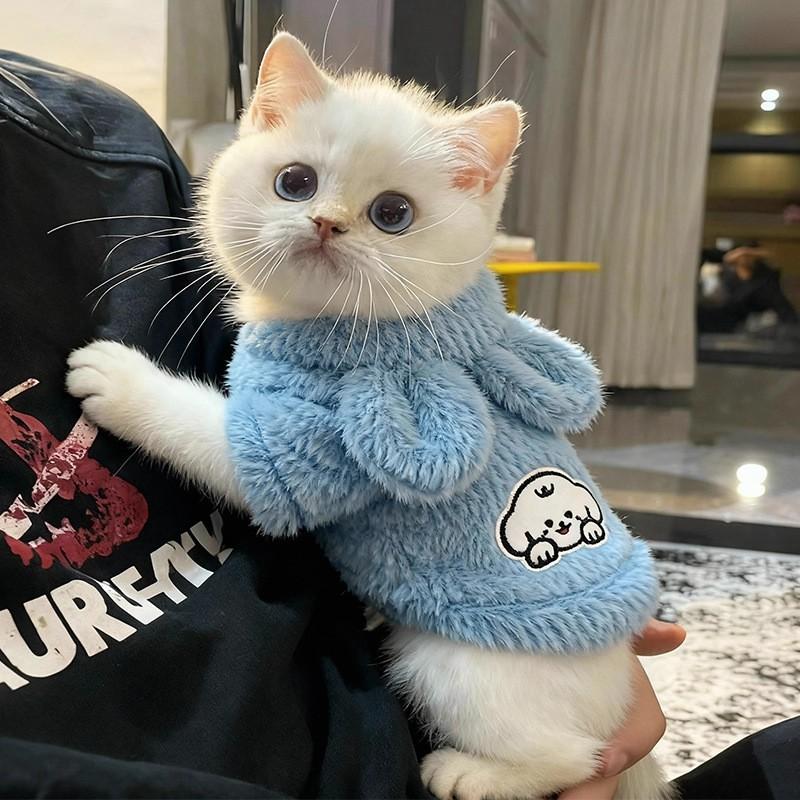 Толстовка с капюшоном для кошки Зимняя теплая с флисовой подкладкой Одежда для питомца Котенка Британская короткошерстная Рэгдолл Маленькая