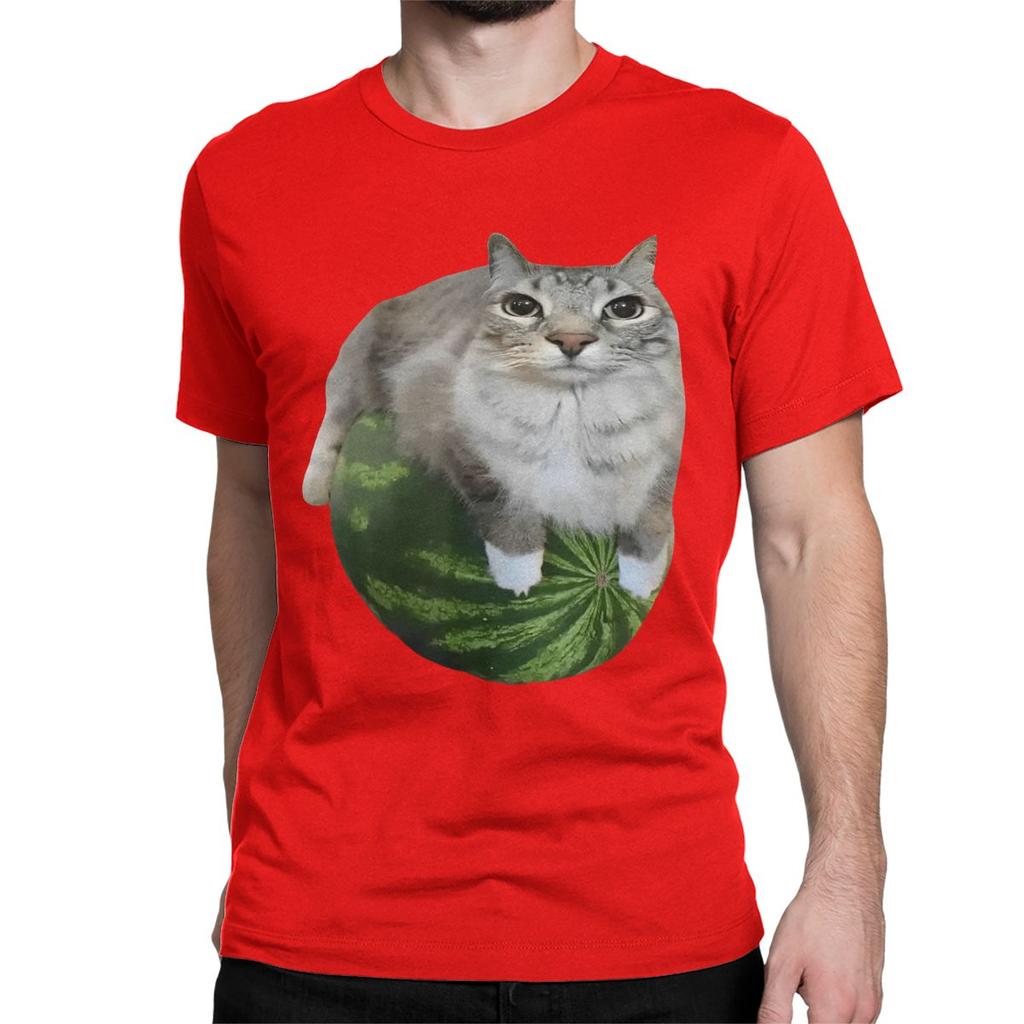 Watermelon Cat Silly T Shirt for Men Women 100 Cotton TShirt Round Collar Funny Meme Tee Shirt Short Sleeve Clothes Plus Size
