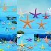Cute Cartoon Mini Starfish Resin Ornaments For Aquarium And Fish Tank Decoration