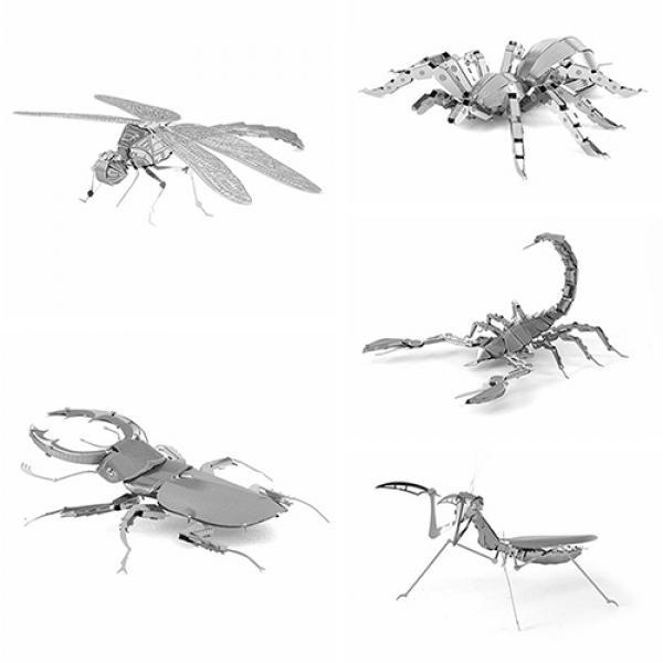 Puzzle insecte solide 3D en acier inoxydable, modèle éducatif, jouet à ...