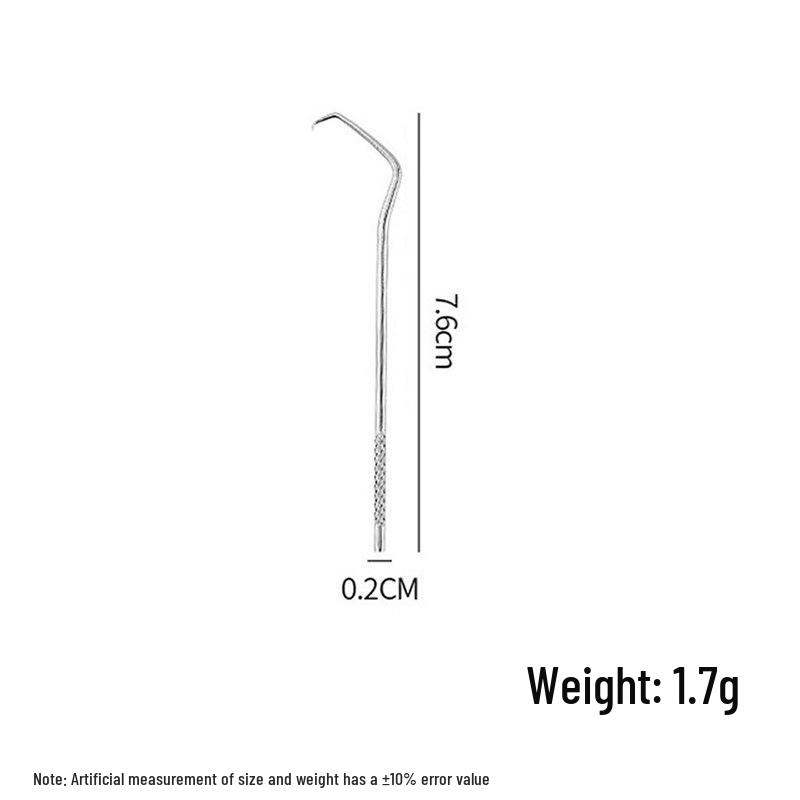 Stainless Steel Toothpick Set: Portable Teeth Cleaning Tool and Tooth Gap Cleaner