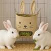 With Hooks Guinea Pig Feeder Hanging Design Forage Bag Feeding Bag Grass Dispenser  Chinchilla