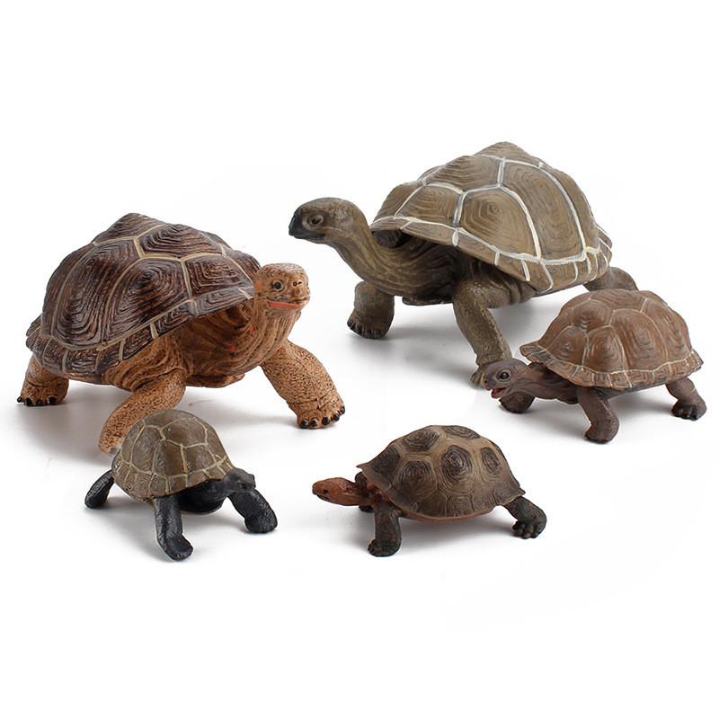 Figurine Statique Modèle Tortue Terrestre en PVC pour Enfants avec Design Réaliste pour Collectionneurs et Enfants