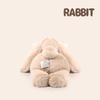 Jimny Rabbit Plush Toy Soft Stuffed Long Ears Bunny Doll Funny Baby'S Sleeping Companion Room Decor Girls Birthday Gift