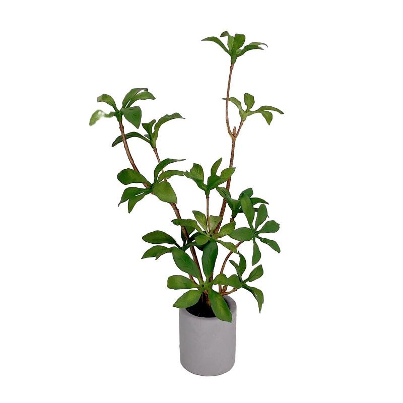 1:6 Dollhouse Miniature Potted Plant Green Leafed Plant Pot Bonsai Home Garden Decor Toy Doll House Accessories
