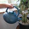 Dalton GARDEN CAN Watering Can, Green, NB-0994