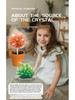 Xueyou Ma Blooming Crystal Christmas Tree - Magic Growing Kit for Science Lovers