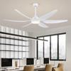 Modern Large-size Large Wind Fan Lamp Household Variable Frequency Mute Ceiling Fan with Led Lamp