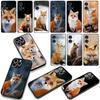 Phone Cover for Apple iPhone 17 16 15 11 Pro XS Max XR 6 7 8 Plus + SE 2020 5 16E Case Anime fox funny foxs cute Casing
