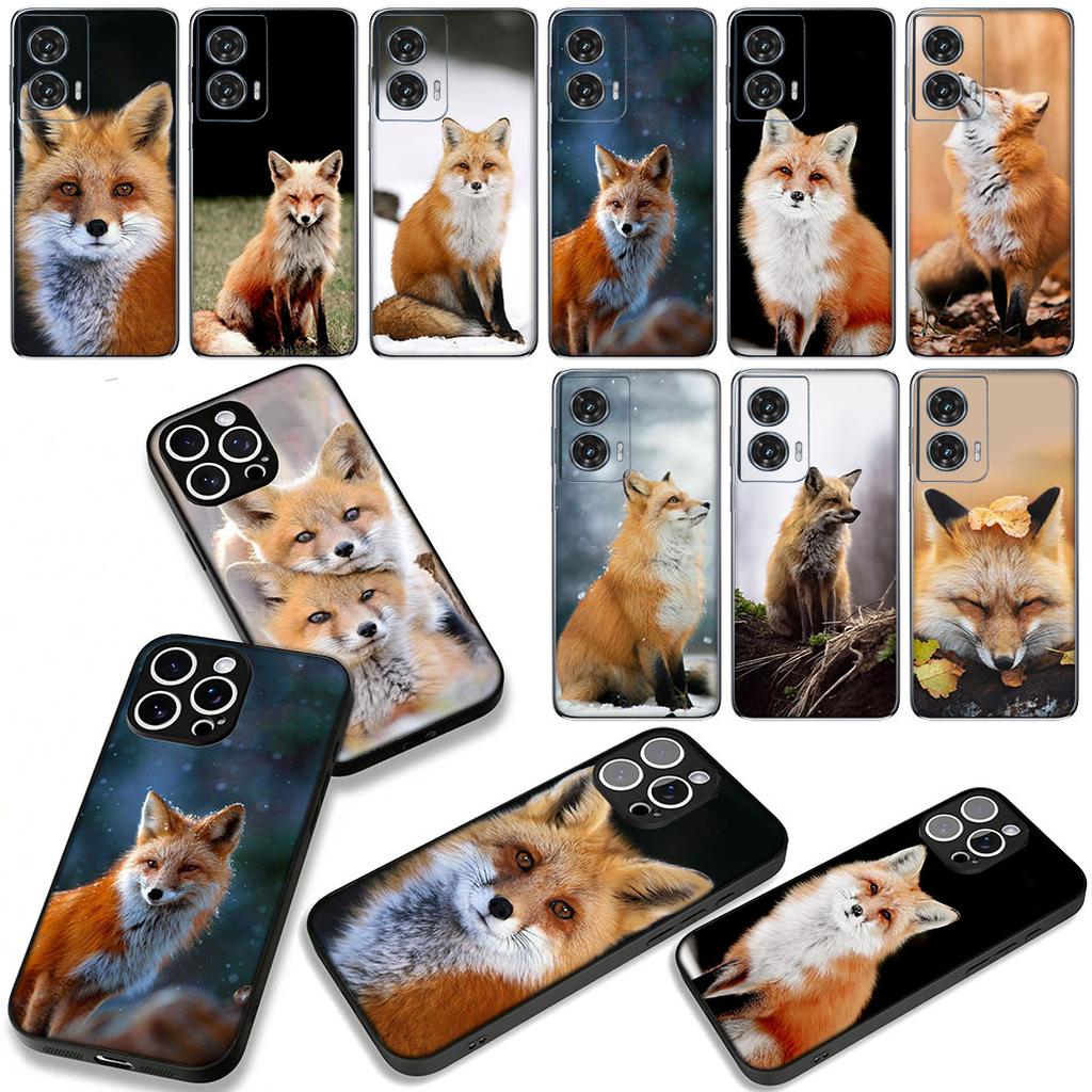 Phone Cover for Apple iPhone 17 16 15 11 Pro XS Max XR 6 7 8 Plus + SE 2020 5 16E Case Anime fox funny foxs cute Casing