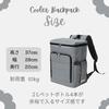Rioboca Insulated Cooler for and Camping Backpack-Style Bag, 22L, Shopping, BBQs, (Black)